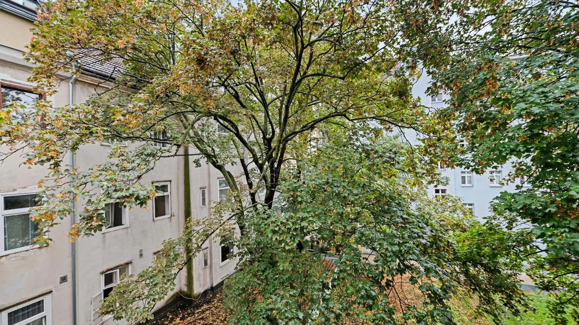 Cozy, Generous City Apartment - 10 Min To City-Centre - Contactless 24H Check-In Vienna